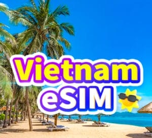 ベトナムのSIM